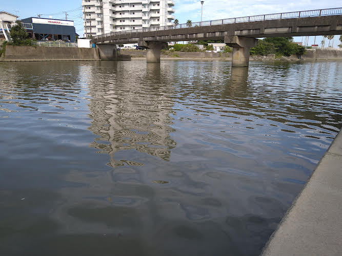 加茂川の河口